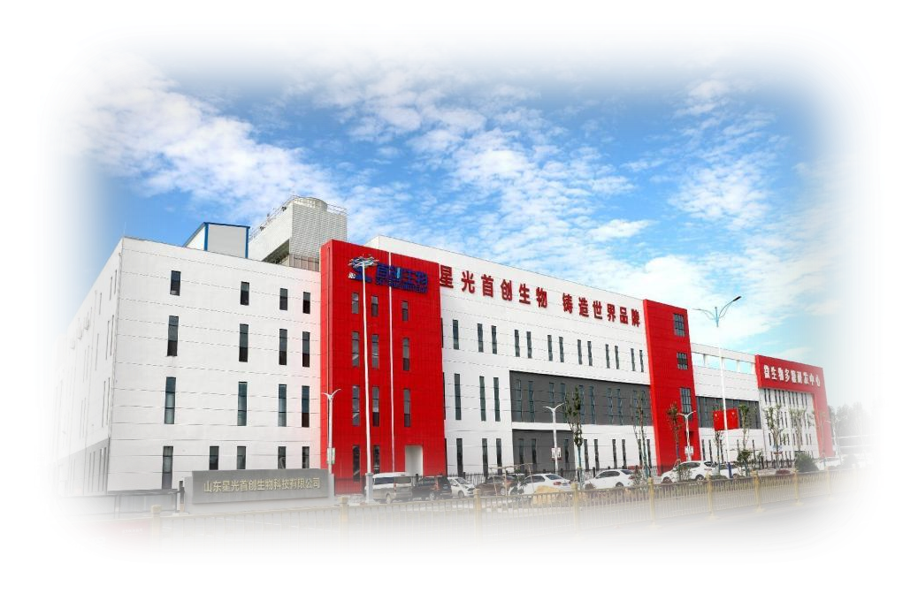 1772672470238779.png 1772672470238779.png